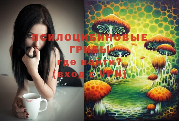 хмурый Ладушкин
