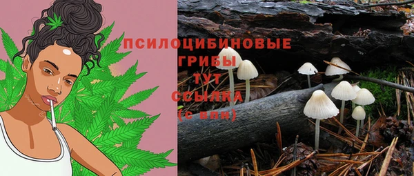 спиды Кулебаки