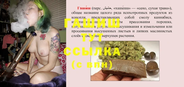индика Дубна