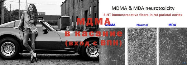ГАЛЛЮЦИНОГЕННЫЕ ГРИБЫ Лабытнанги