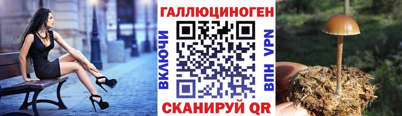 Псилоцибиновые грибы мухоморы  Кинешма 
