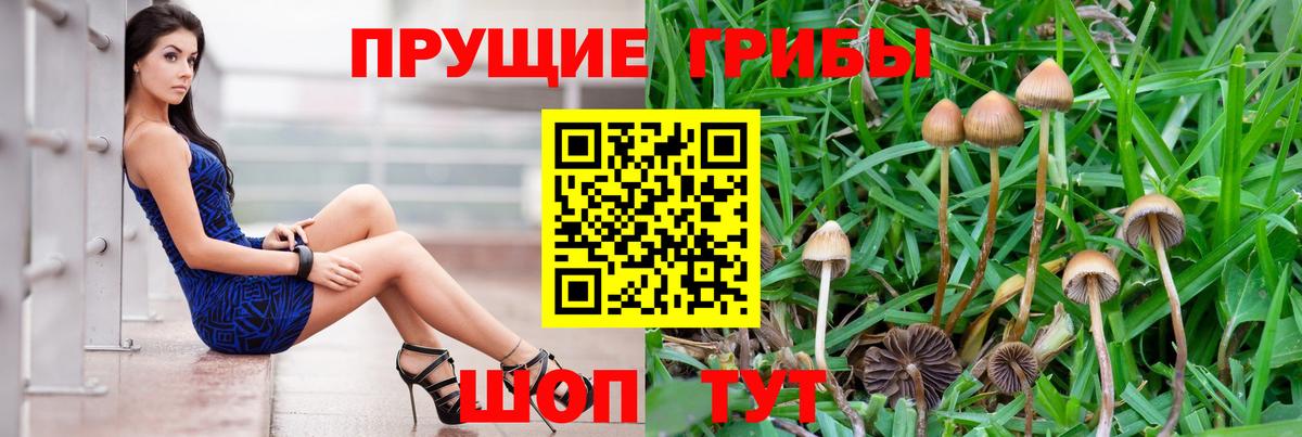 Галлюциногенные грибы прущие грибы Кинешма