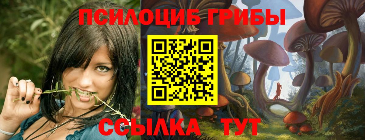 Кинешма  Псилоцибиновые грибы ЛСД  Вход с VPN 